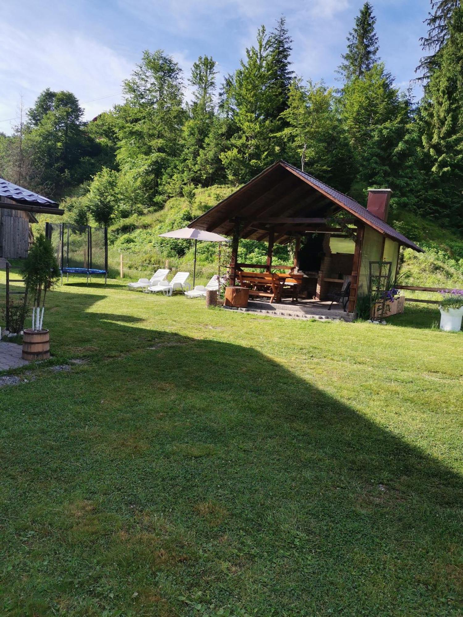 Cabana Georgiana Arieşeni Extérieur photo