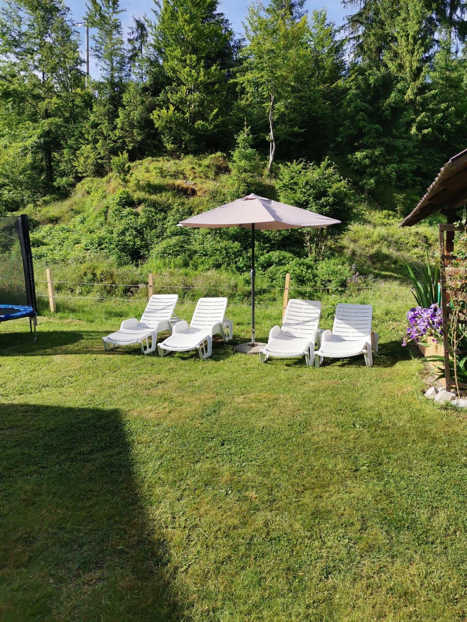 Cabana Georgiana Arieşeni Extérieur photo