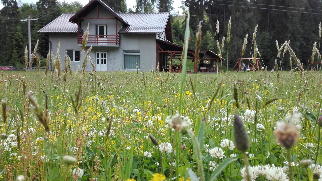 Cabana Georgiana Arieşeni Extérieur photo